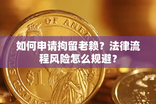 武汉如何申请拘留老赖？法律流程风险怎么规避？