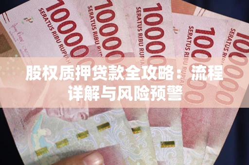 武汉股权质押贷款全攻略：流程详解与风险预警