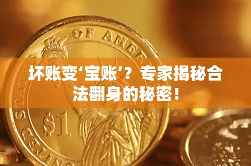 武汉坏账变‘宝账’？专家揭秘合法翻身的秘密！