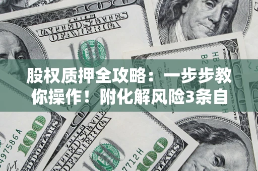 武汉股权质押全攻略：一步步教你操作！附化解风险3条自救法则