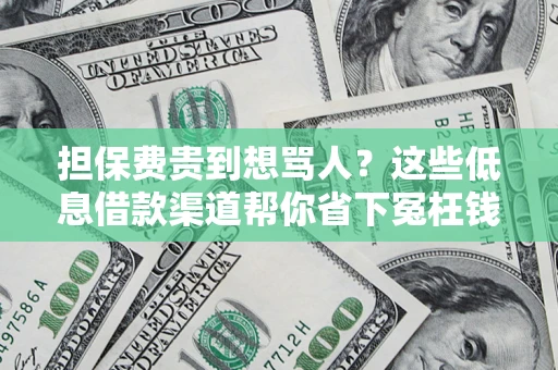 武汉担保费贵到想骂人？这些低息借款渠道帮你省下冤枉钱