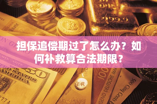 武汉担保追偿期过了怎么办？如何补救算合法期限？