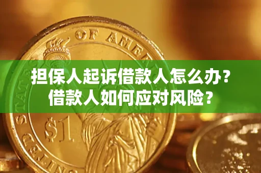 武汉担保人起诉借款人怎么办？借款人如何应对风险？