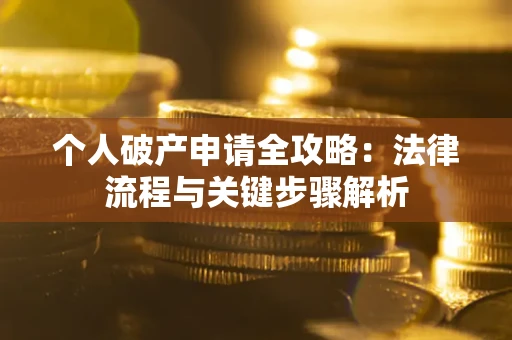 武汉个人破产申请全攻略：法律流程与关键步骤解析