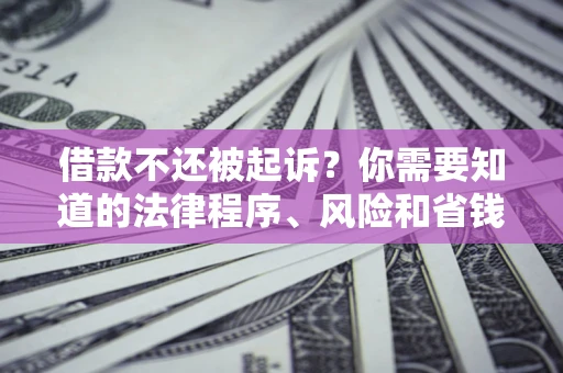 武汉借款不还被起诉？你需要知道的法律程序、风险和省钱技巧