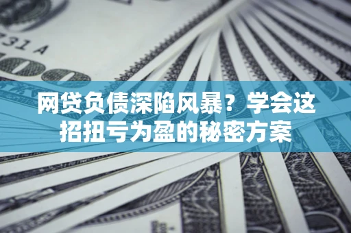 武汉网贷负债深陷风暴？学会这招扭亏为盈的秘密方案