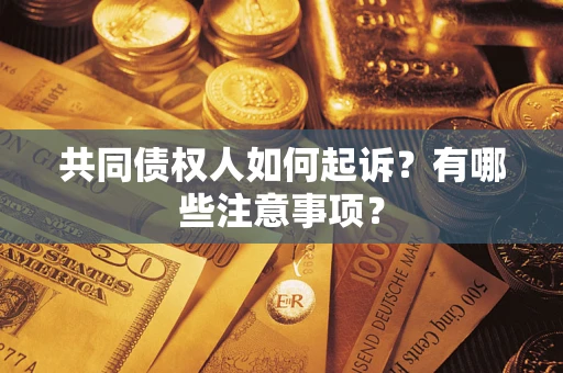 武汉共同债权人如何起诉？有哪些注意事项？